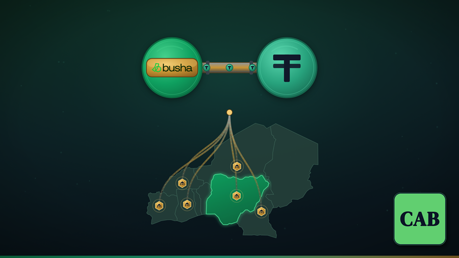 Busha Business-Tether Collaboration and the Strategic Playbook for African B2B Stablecoin Infrastructure